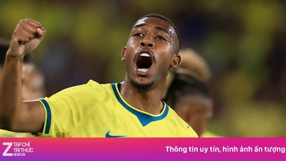The moment a Brazilian star looked bewildered by a question about Japan went viral.