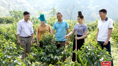 Đổi thay ở Chiềng Vàng