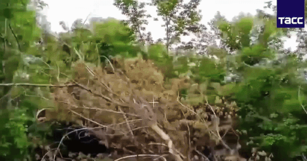Rusland affyrer selvmords-FPV'er for at afbrænde ukrainske Leopard-tanks.