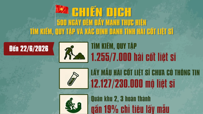 [영상] 500일 캠페인: 전사자 유해 수색, 수습 및 신원 확인에 집중