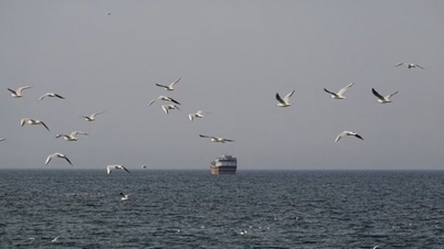 Die IMO nimmt die Rettungsaktion für in der Straße von Hormuz gestrandete Seeleute wieder auf.