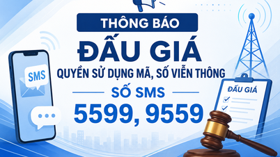 Árverési hirdetmény távközlési kódok és számok használati jogára (5599, 9559 SMS-számok)