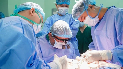 إتقان تقنيات جراحة الصرع وفقًا للمعايير الدولية، وإنقاذ فتاة من أربع سنوات من النوبات.