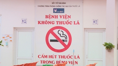13 tahun penerapan Undang-Undang Pencegahan dan Pengendalian Bahaya Tembakau: Lingkungan bebas asap rokok telah mengalami perubahan positif.