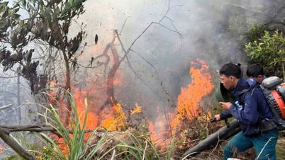 Nghe An continuă să emită o avertizare de incendiu forestier cu risc ridicat.