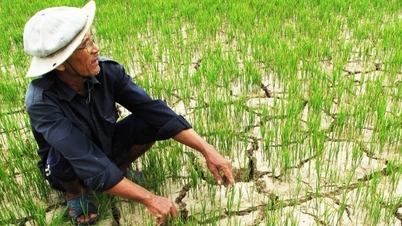 A kormány prioritásként kezeli a Mekong-delta földcsuszamlásainak és sósvíz-betörésének leküzdésére szánt költségvetési forrásokat.