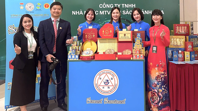 Khanh Hoa kuş yuvası, tüketicileri sahte kuş yuvası sorunundan korur.