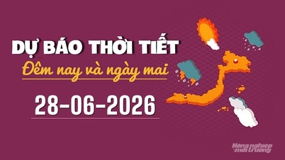 내일(2026년 6월 28일) 날씨 예보: 여러 지역에 소나기와 천둥번개가 예상됩니다.