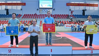 La commune de Cam Lam a remporté le premier prix toutes catégories confondues au concours Vovinam.