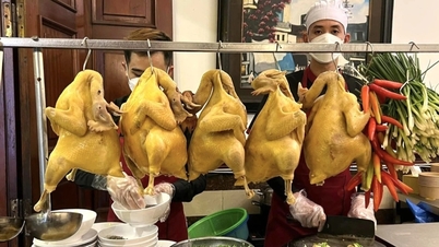 O restaurante de pho de frango mais caro e polêmico de Hanói faz sua estreia na lista Michelin.