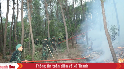 Intensive efforts are being made to completely extinguish the forest fire in Hai Binh ward.