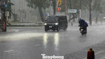 クアンガイ省では、度重なる猛暑の後、恵みの雨が降った。
