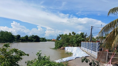 Schwere Erosion entlang der Ufer des Can Lo Flusses, Provinz Dong Thap.