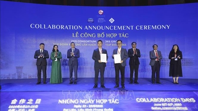 TP Hồ Chí Minh tăng cường thu hút đầu tư vào các ngành công nghiệp thế hệ mới