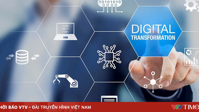 Tendências na digitalização dos serviços públicos em diversos países.