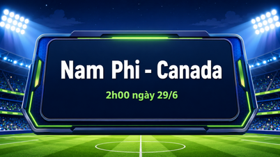 Prediction for the yellow card count in the South Africa vs Canada match (2:00 AM, June 29th, World Cup 2026 knockout round): Will the African representatives face difficulties?