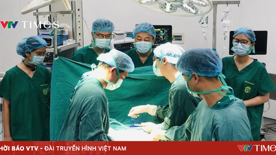 A filial de Ninh Binh do Hospital Bach Mai conseguiu salvar vários pacientes em estado crítico em seu primeiro dia de funcionamento.