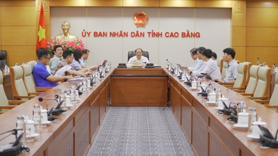 Başbakan, önemli ulaşım projelerinin gözden geçirilmesine başkanlık etti - Cao Bang Online Gazetesi