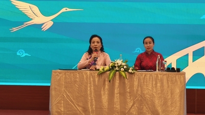 4. Da Nang Asya Film Festivali: Tam Bir Sinematik Ekosisteme Doğru