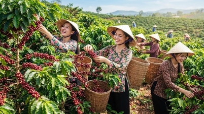 Kaffeepreise heute, 28. Juni: 600 VND/kg gesunken, warum ist die Marke von 90.000 VND/kg noch nicht vollständig unterschritten?