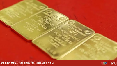 Der Goldpreis stieg auf 148,5 Millionen VND pro Tael.