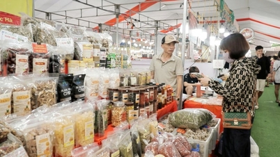 Over 1.000 OCOP-produkter "oversvømmer" Ninh Binh-provinsen og samler specialiteter fra alle regioner.