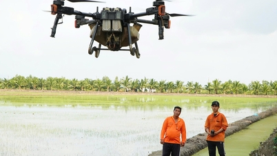 Le Vietnam accélère le développement économique des pays à faible revenu.