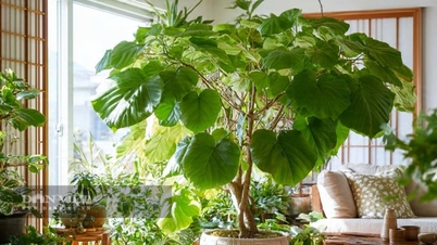 5 prydplanter, der renser luften, tiltrækker rigdom, og når de plantes indendørs, beskytter familien, samler velsignelser fra alle retninger, afværger onde ånder og bringer lykke til hjemmet.