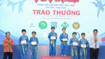 W turnieju Lam Son Cup Vovinam wzięło udział ponad 500 sportowców.