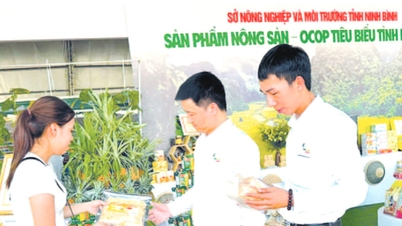 La promotion industrielle donne un nouvel élan à l'industrie rurale à Ninh Binh.