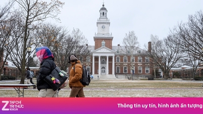 Universidades americanas de prestígio estão apertando os cintos.