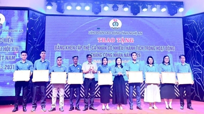 Fagforeningen i Thai Hoa Ward og en fagforeningsrepræsentant blev rost af Nghe An Provincial Federation of Labor.