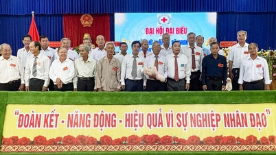Sayın Vo Van Hong, Nhon My beldesi Kızılhaç Derneği Başkanlığı görevini yürütmektedir.