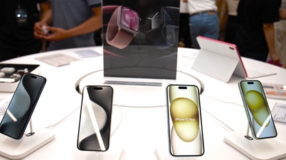 Les iPhones connaissent des baisses de prix importantes ; les purificateurs d’eau coûtent plus de 100 millions de VND.