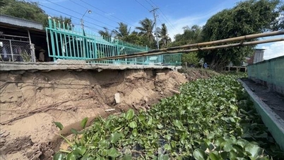 Die Ufererosion in Lai Vung führte zum Einsturz eines Hauses.
