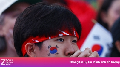 South Korean fans are disappointed with Japan and Germany.