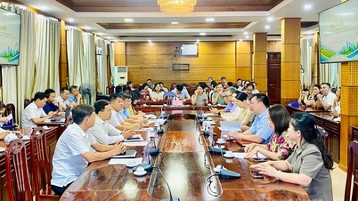 Promover a cooperação em pesquisa e desenvolvimento da agricultura verde e da proteção ambiental.