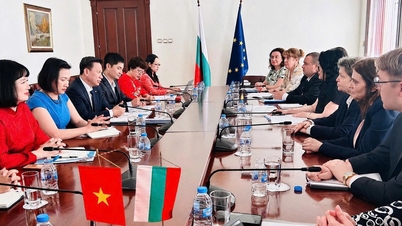Stärkung der justiziellen Zusammenarbeit und des Austauschs von Mediationserfahrungen zwischen Vietnam und Bulgarien.