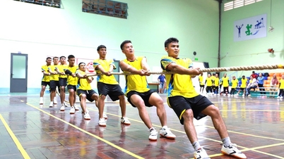 Aktiviti sukan yang menarik di Festival Budaya Etnik Cham 2026