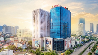 ក្រុមហ៊ុន ROX ត្រូវបានផ្តល់កិត្តិយសនៅ AREA 2026 សម្រាប់អភិបាលកិច្ចសាជីវកម្ម និងធនធានមនុស្សរបស់ខ្លួន។