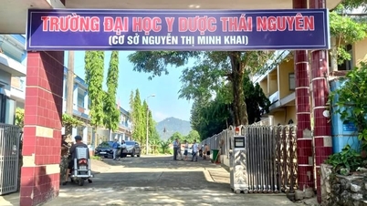 ខេត្ត Thai Nguyen កំពុងដោះស្រាយបញ្ហាដីធ្លី និងអចលនទ្រព្យលើសជាបន្ទាន់។