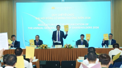 Vietnam Airlines aspira a convertirse en una aerolínea internacional de 5 estrellas para 2030.