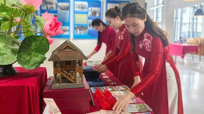 Entgegennahme und Ausstellung zahlreicher Dokumente über Präsident Ho Chi Minh in Frankreich.