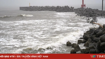 Twee tropische stormen brachten hevige regenval met zich mee, wat leidde tot overstromingen en aardverschuivingen in Japan.