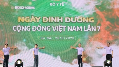 Banyak kegiatan bermakna yang berlangsung selama Hari Gizi Masyarakat Vietnam ke-7.