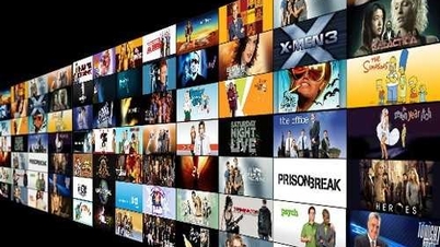 Traducerea programelor de televiziune străine trebuie să asigure respectarea și păstrarea purității limbii vietnameze.