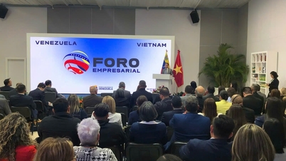Thứ trưởng Nguyễn Hoàng Long dự Diễn đàn Doanh nghiệp Việt Nam - Venezuela