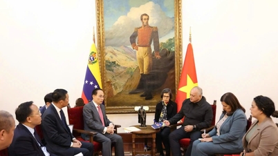 Các hoạt động của Thứ trưởng Nguyễn Hoàng Long trong khuôn khổ chuyến thăm và làm việc tại Venezuela của Bộ trưởng Bộ Ngoại giao Lê Hoài Trung