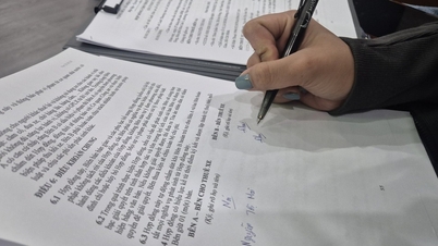 Este é um problema comum: perder dinheiro simplesmente porque... você assinou um contrato sem ler os termos e condições.