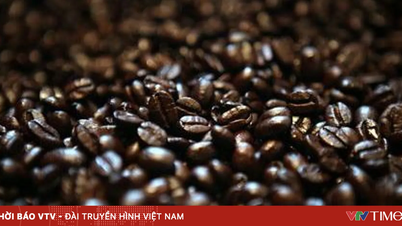 EU staví „zelené bariéry“: Jsou vietnamské firmy připraveny?